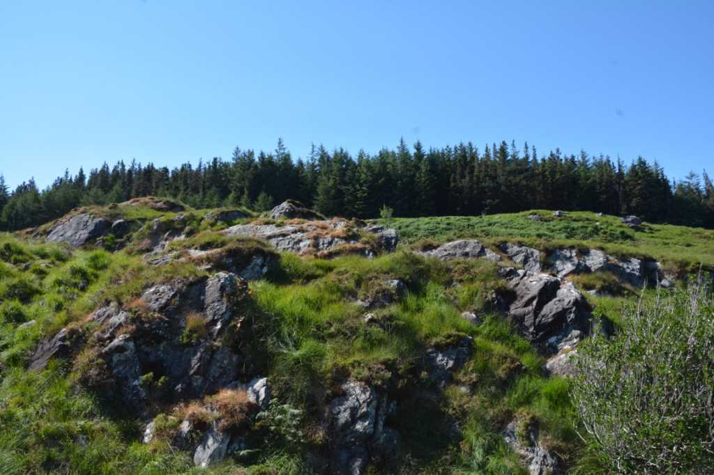 DSC_5092Mittel_.JPG
